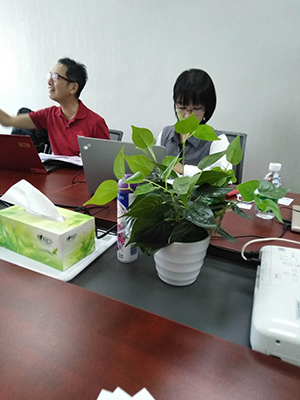 深國(guó)安客戶(hù)會(huì)議室交談.jpg