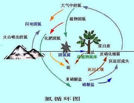 氮氣循環(huán)圖.jpg