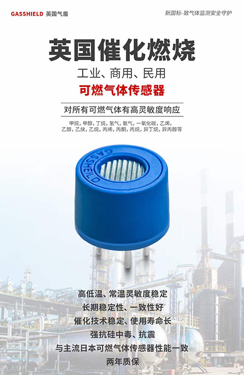 工業(yè)級(jí)天然氣傳感器