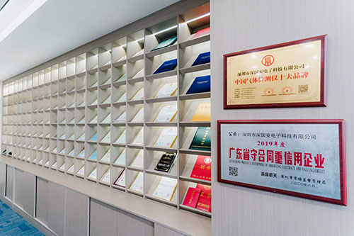深國(guó)安氣體檢測(cè)儀