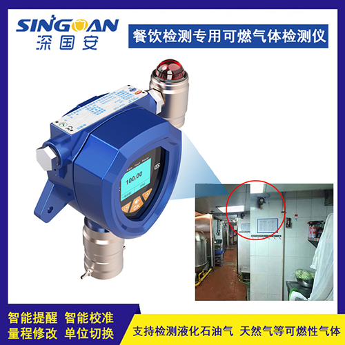 工業(yè)級燃?xì)鈭?bào)警器